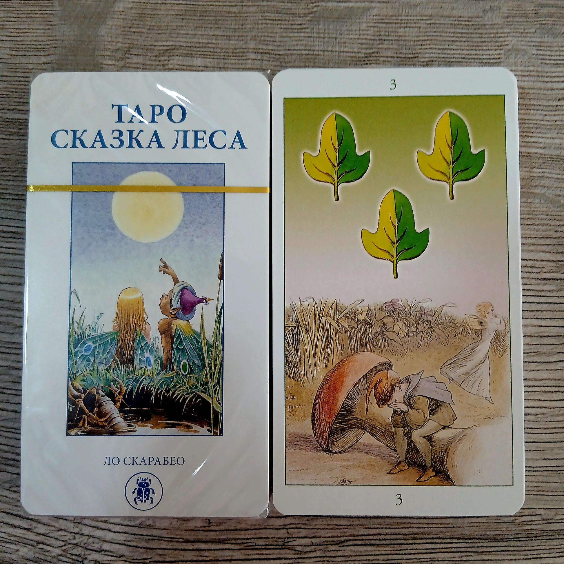 Forest Tale Tarot Tarot Encyclopedia Avalon/Hachette cards
