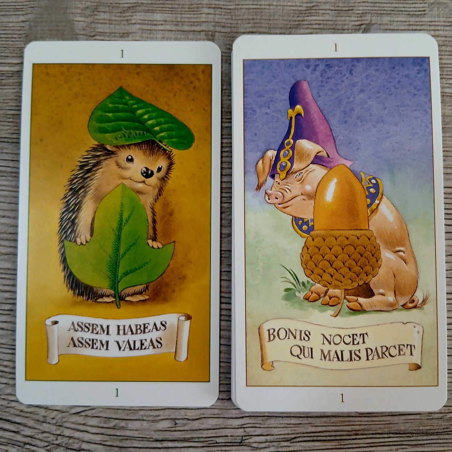 Forest Tale Tarot — Таро Сказка Леса