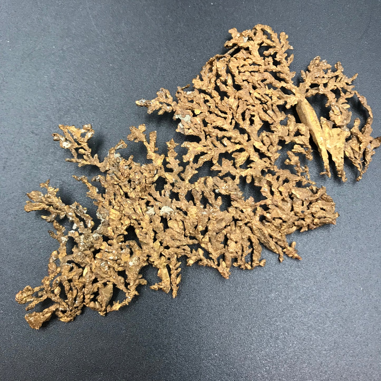 Varš. 35g. 12x6 cm