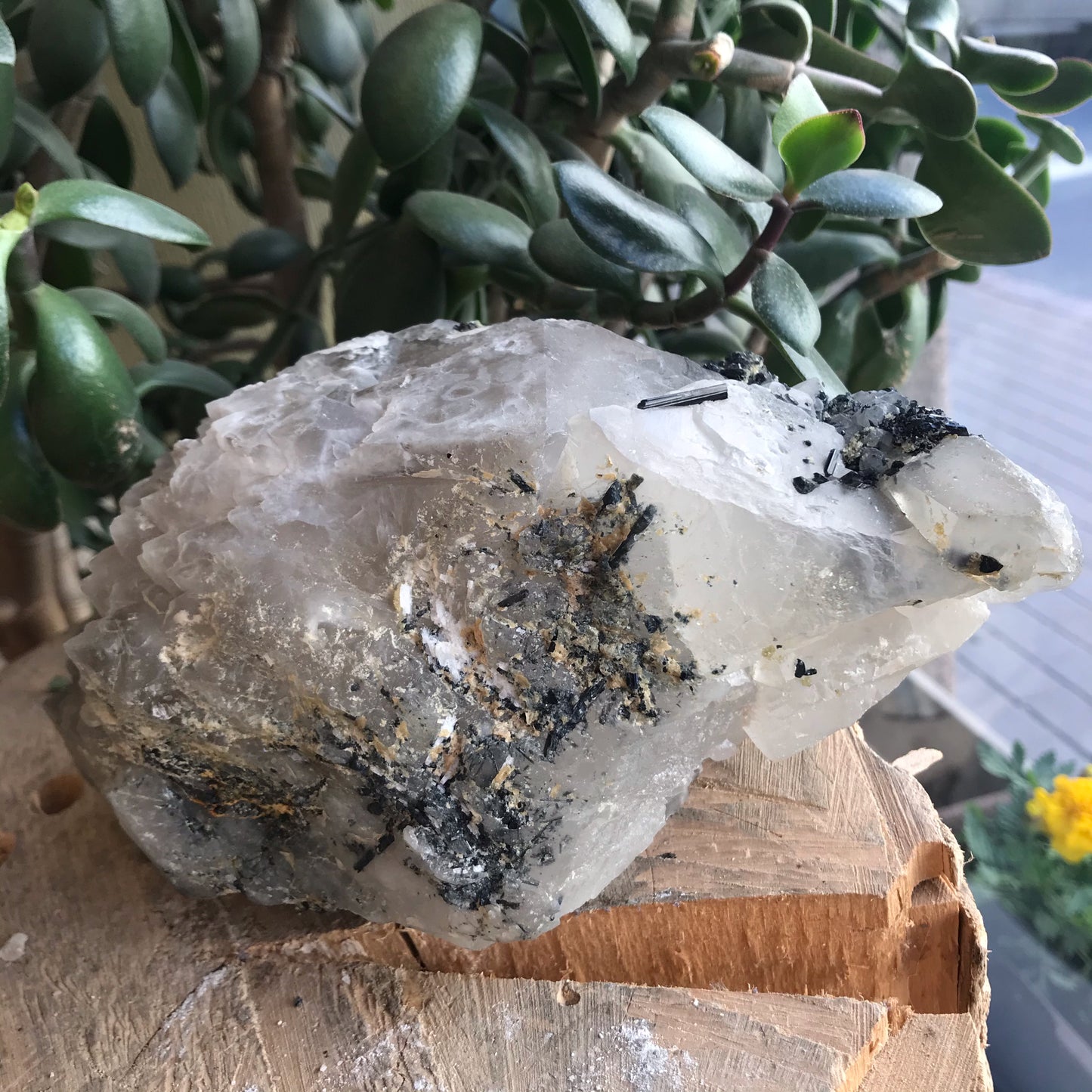 Quartz Druze with Green Tourmaline and Rutile 2600 g 20 × 13 × 10 cm